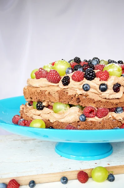 Pastel de chocolate con fruta — Foto de Stock