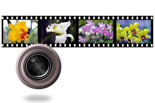Bunte Orchideen Foto mit Filmstreifen — Stockfoto