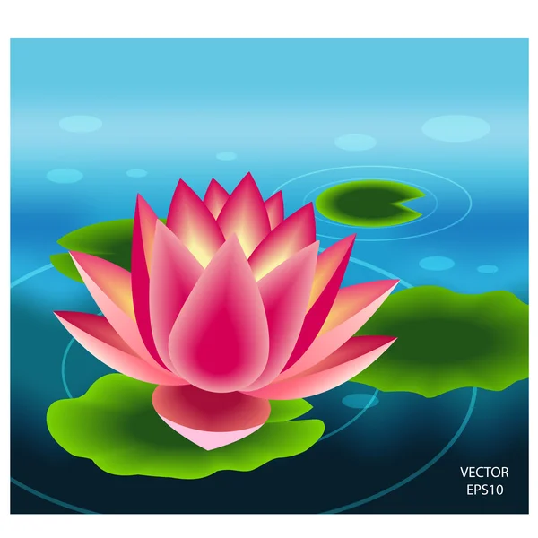 Beautiful pink lotus flower — Stock Vector