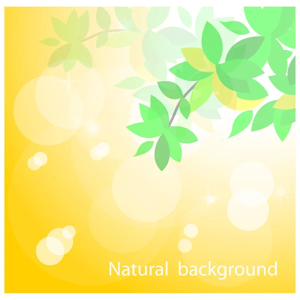 Green leaves on natural background — Stock Vector