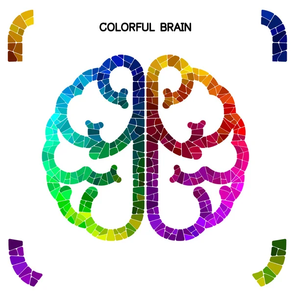 Творчий барвистий лівий мозок і правий мозок Ідея концепції backgr — стоковий вектор