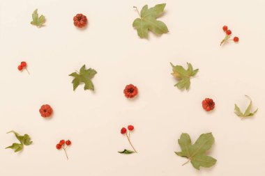 Estetik sonbahar deseni. Sonbahar kompozisyonu. Pastel turuncu arka planda sonbahar yaprakları. Sonbahar, sonbahar konsepti. Düz düzen, üst görünüm.