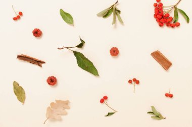 Estetik sonbahar deseni. Sonbahar kompozisyonu. Pastel turuncu arka planda sonbahar yaprakları. Sonbahar, sonbahar konsepti. Düz düzen, üst görünüm.