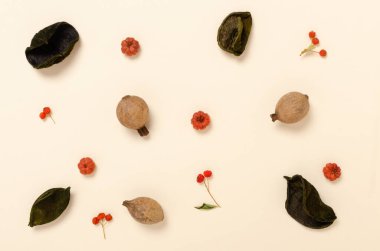 Estetik sonbahar deseni. Sonbahar kompozisyonu. Pastel turuncu ışık arka planında sonbahar kutlamaları. Sonbahar, sonbahar konsepti. Düz düzen, üst görünüm.