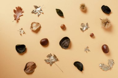 Sonbahar elementlerinin turuncu arka plandaki sonbahar deseni. Üst görünüm, boşluğu kopyala. Sonbahar konsepti. Sonbahar sonbahar arkaplanı.