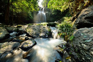 şelale ve akarsu (gelinin Havuzu, hong kong)