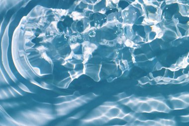 Püskürtme, kabarcıklar ve bitkinin gölgesi ile şeffaf, berrak, sakin su yüzeyine odaklanmış. Kopyalama alanı olan moda soyut doğa arkaplanı.