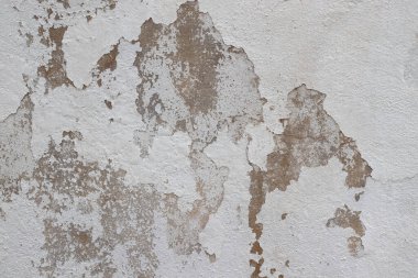 concrete white wall texture as a realistic grunge background