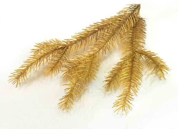 Golden spruce — Stock Photo, Image