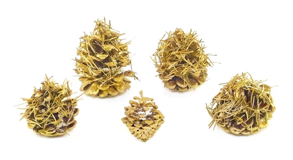 Golden cones — Stock Photo, Image