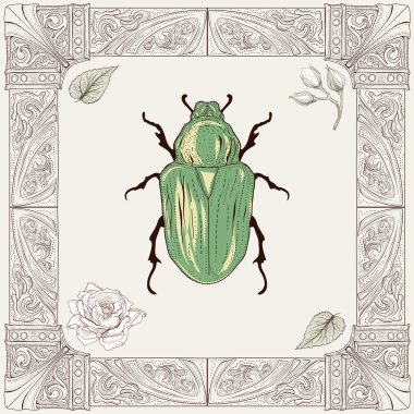 chafer beetle drawing clipart