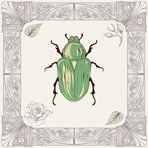 Chafer beetle drawing — Stok Vektör