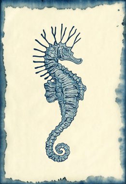 Seahorse drawing on blotted background clipart