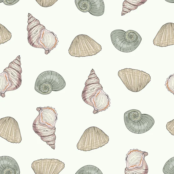 Seashells seamless pattern — Stock Vector