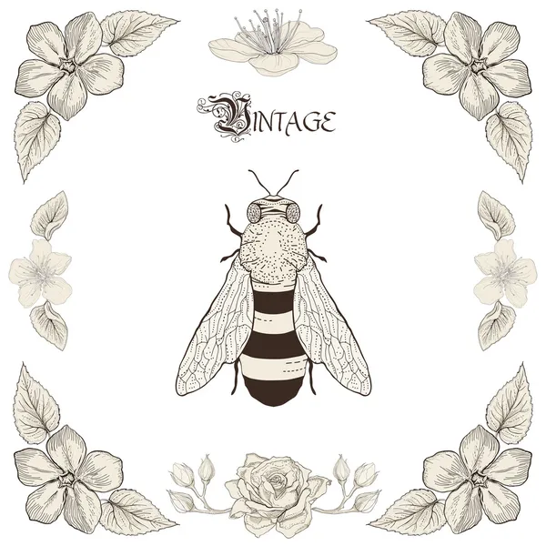Μέλισσα σχεδίασης στυλ vintage Χαρακτική — Διανυσματικό Αρχείο