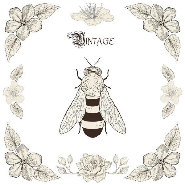 Bee tekening vintage gravure stijl — Stockvector