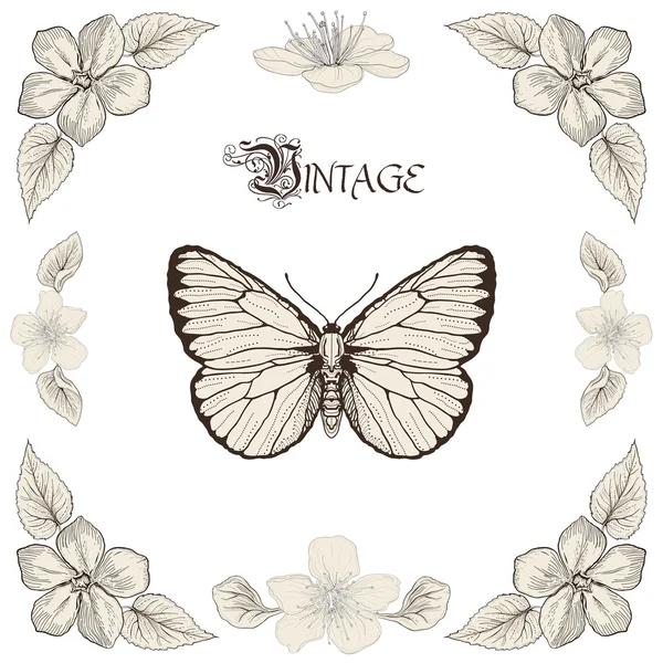 Papillon et fleurs dessin style gravure vintage — Image vectorielle