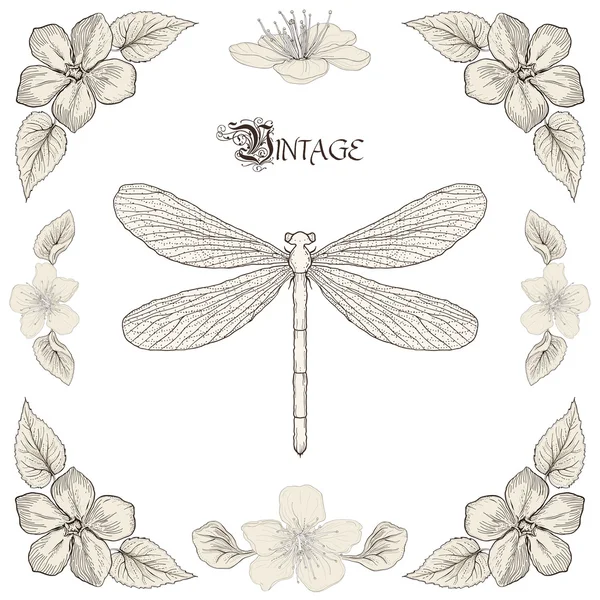 Dragonfly σχεδίασης στυλ vintage Χαρακτική — Διανυσματικό Αρχείο