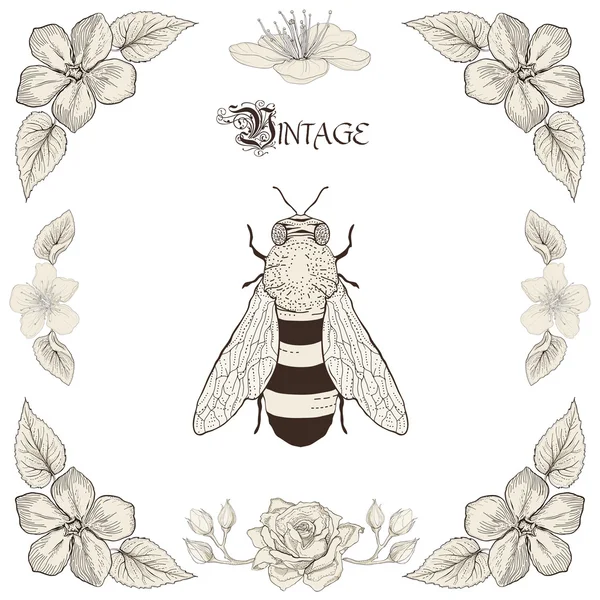 Bee drawing vintage engraving style — Stock Vector