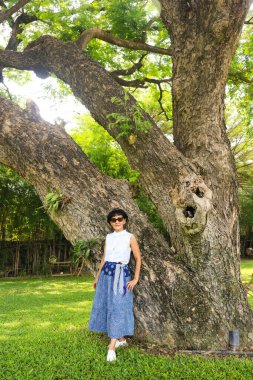 Parkta büyük bir ağaca yaslanan Asyalı kadın..