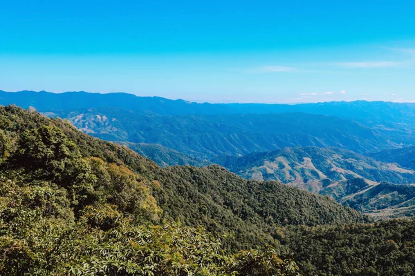 Floresta Tropical Paisagem Montanhosa Céu Azul — Fotografia de Stock