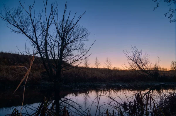 Akşamları nehir kıyısında gökyüzü arka planında bir ağaç