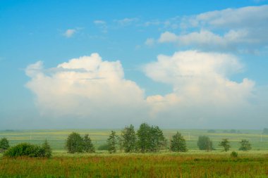 Kolza tohumu tarlasında kümülonimbus bulutları ve sis