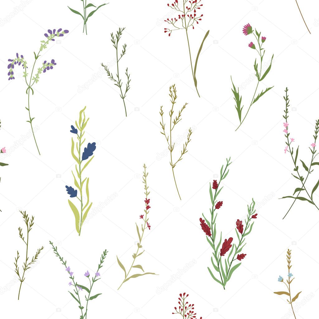 Blossom floral seamless pattern. Botanical motifs scattered random. Hand drawn different wild meadow flowers on white