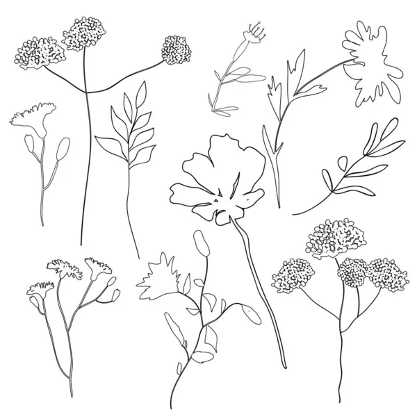 Kolekcja kwiatów. Gałąź i minimalistyczne kwiaty. Ręcznie rysowane ciągłe zioła linii, eleganckie liście. — Wektor stockowy