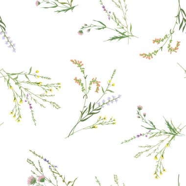 Çiçeklerin dikişsiz deseni. Botanik motifleri rastgele dağılmış. El beyaza farklı yabani çayır çiçekleri çizdi.