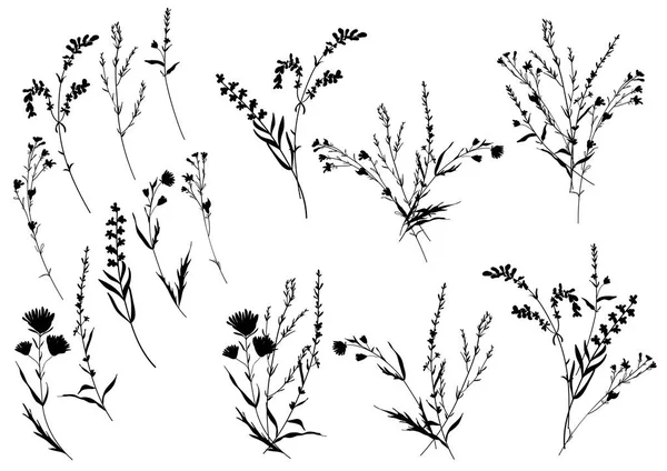 Grote set silhouetten botanische bloemen elementen. Takken, bladeren, kruiden, bloemen. Tuin, veld, weide wilde planten. — Stockvector