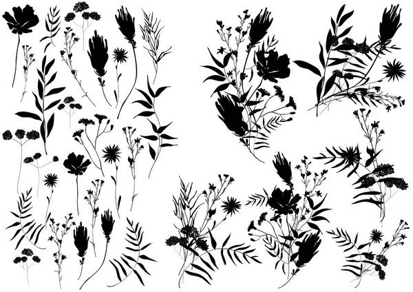 Gran conjunto de siluetas botánicas elementos florales. Ramas, hojas, hierbas, flores. Jardín, campo, prado plantas silvestres. — Vector de stock