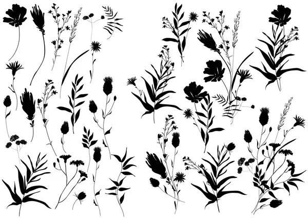 Velké zasazené siluety botanické květinové prvky. Větve, listy, bylinky, květiny. Zahrada, pole, louka divoké rostliny. — Stockový vektor