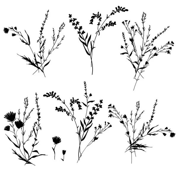 Gran conjunto de siluetas botánicas elementos florales. Ramas, hojas, hierbas, flores. Jardín, campo, prado plantas silvestres. — Vector de stock