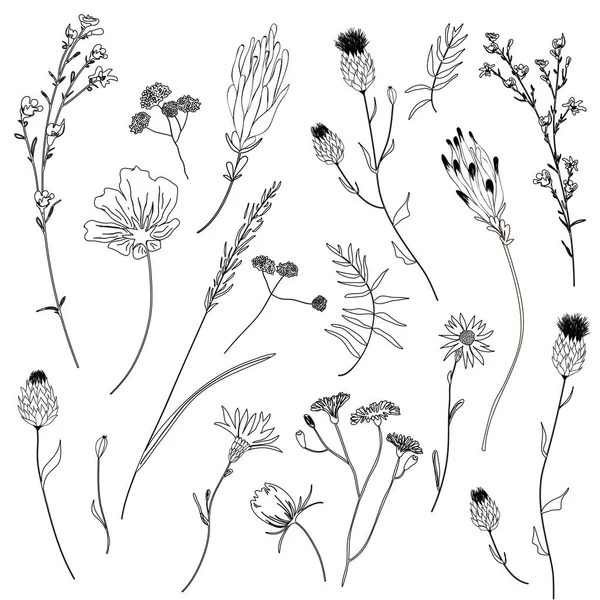 Colección Esquemas Florales Rama Flores Minimalistas Línea Continua Dibujada Mano — Vector de stock