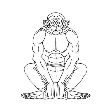 Kot pantolonlu şempanze, çömelme. Komik bir karakter. Çizgi film ve el çizimi tarzında beyaz bir arkaplanda izole edilmiş siyah çizgili vektör çizimi.