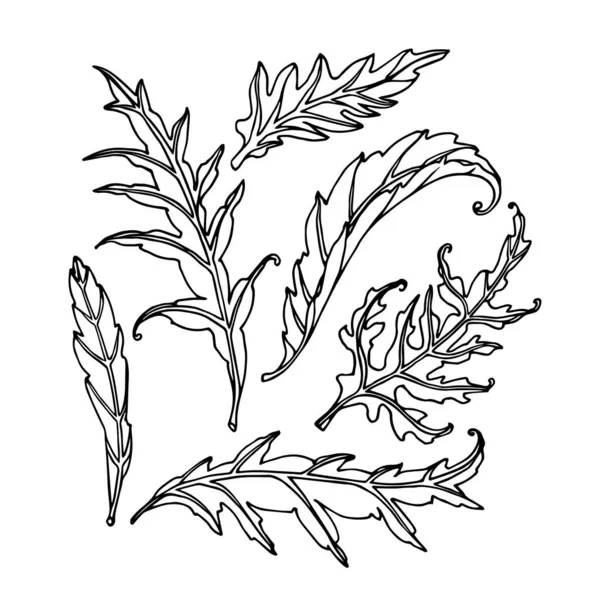 Set Van Artisjok Bladeren Bloemen Decoratief Element Voor Patronen Ornamenten — Stockvector