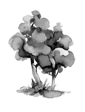 Bahçede bir çift yaprak döken ağaç. Suluboya tekniği ve el çizimi stilinde beyaz bir arkaplanda siyah mürekkeple gösterilmiştir..