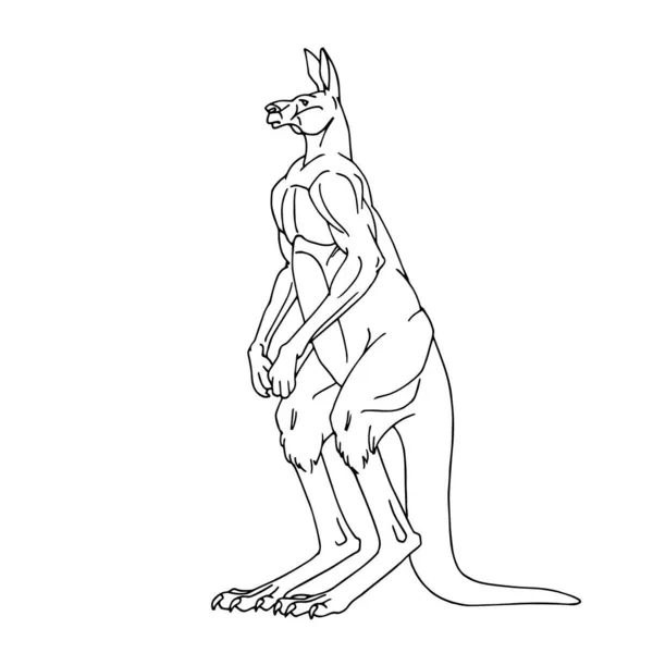 Stående Australisk Manlig Känguru Vektor Illustration Med Kontur Linjer Svart — Stock vektor