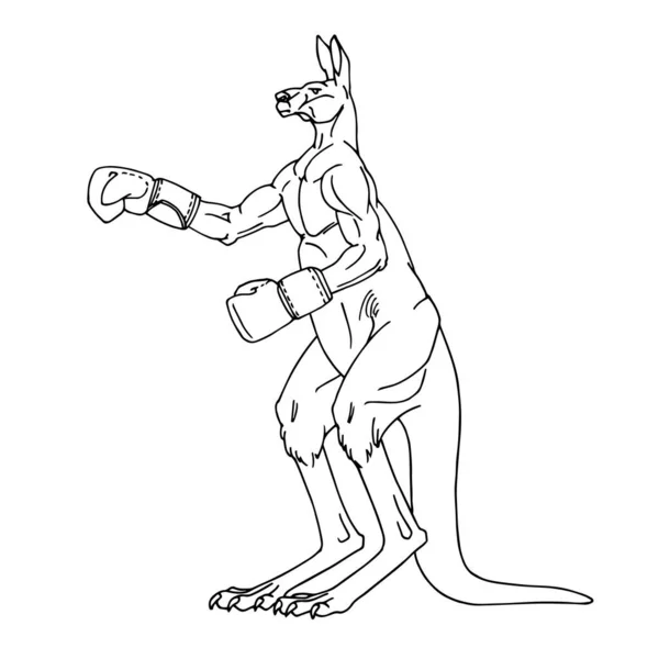 Sportig Manlig Känguru Boxningshandskar Australiens Symbol Vektor Illustration Med Kontur — Stock vektor