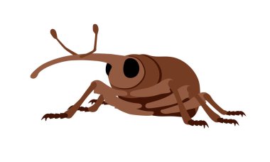 Buğday biti, böcek, ekinlerin düşmanı. Çizgi film ve düz tasarımda beyaz bir arkaplanda izole edilmiş renk vektörü çizimi.