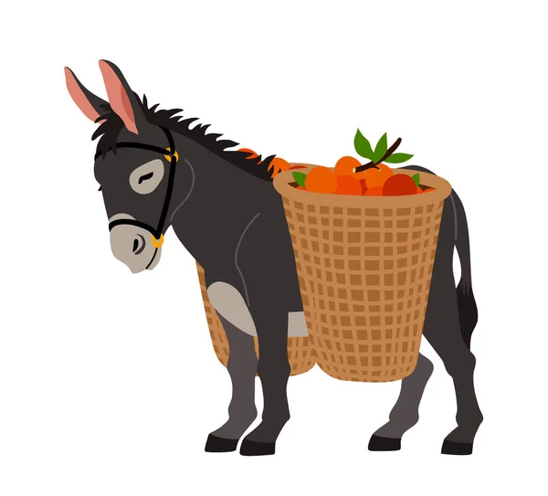 Cute Grey Donkey Baskets Oranges Cargo Transportation Color Vector Illustration — Stock Vector