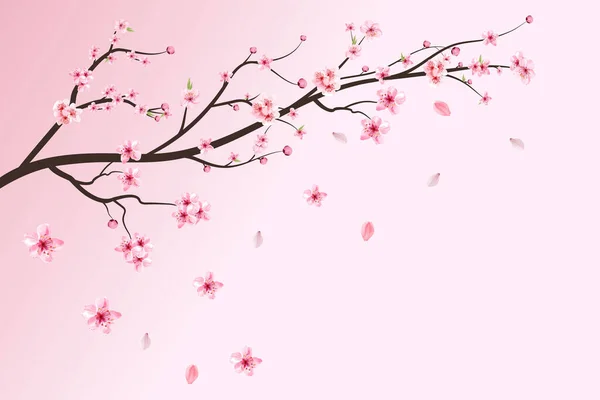 現実的な桜の枝 ピンクの桜の花が落ちる 水彩の花が咲く桜 桜の葉が落ちる 日本の桜のベクトル 水彩桜のベクトル — ストックベクタ