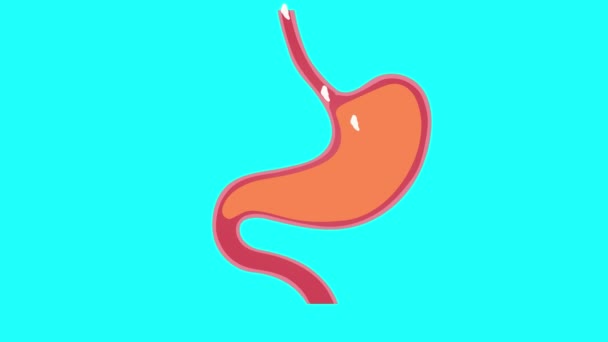 胃の中の食品消化プロセス ヒト解剖学2Dアニメーション 胃の中に食べ物を食べ 溶解4K映像 胃溶解食品と人間の解剖学的動画 — ストック動画