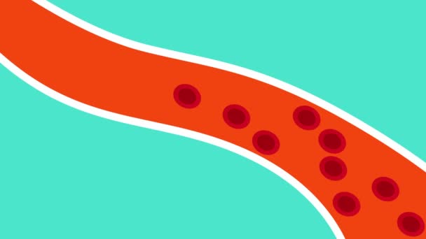 Gordura Bloqueando Circulação Sanguínea Dentro Vaso Sanguíneo Animação Anatomia Humana — Vídeo de Stock