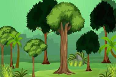 Yeşil ağaçlar ve çalılarla kaplı orman içi. Ormanın içindeki büyük ağaçlar, ekolojik sistem konsepti. Doğa ve sonsuz yeşil arkaplan kayalar ve ağaçlarla.