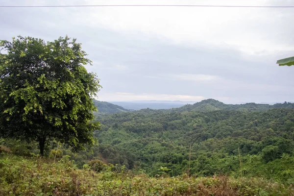 Green hilly area with a single tree and cloudy sky. Mountain landscape with green grass at Bandarban, Bangladesh. Amazing rural area view for tourists. Country hill forest with horizon view photograph