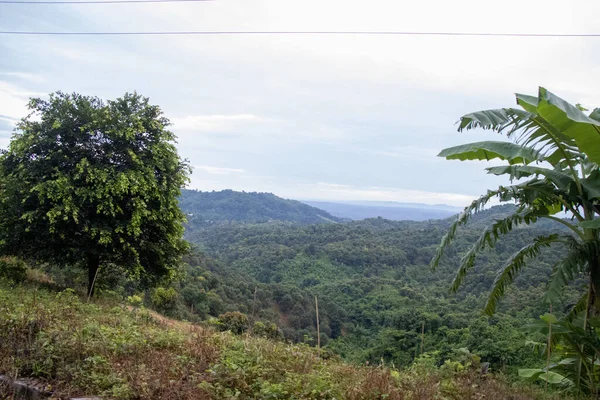 Country Vista Sul Paesaggio Montano Con Albero Banane Erba Verde — Foto Stock