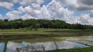 Beautiful rural area view with cloudy sky and green paddy fields. 4K motion footage of village area and farming lands with a drone. Huge agricultural area with green forest and thick clouds.