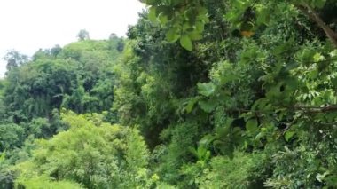 4K footage of hillside view and hiking trails with green trees. Green hills and mountain views with dense forest. Mountain landscape view and green trees with a blue sky. Hilly jungle road footage.